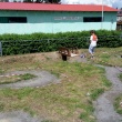 img_20170610_131816-3072x1728