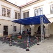 p1100329