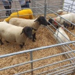 img_20230923_104839
