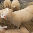 img_20230923_105448